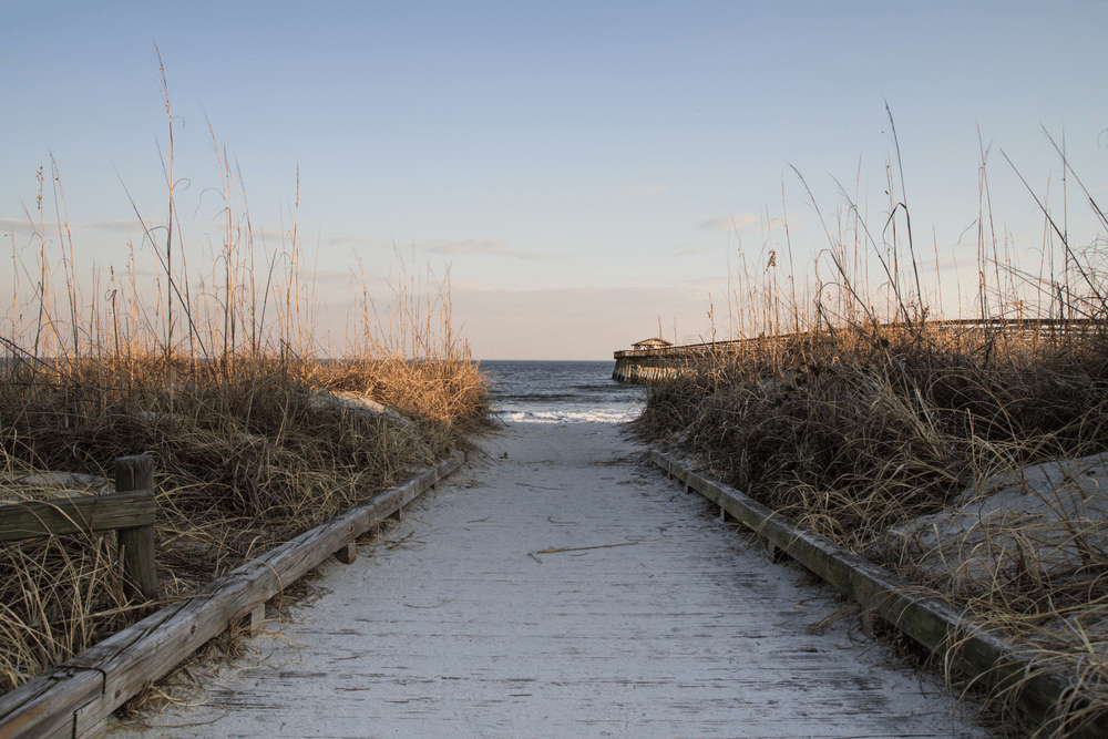 Myrtle Beach State Park at sunset