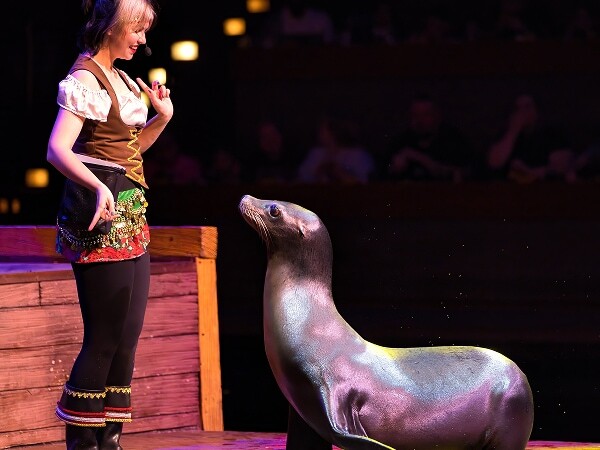 Salty the Sea Lion and his Trainer