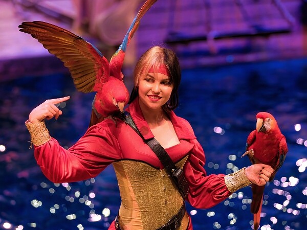 pirate with a parrot