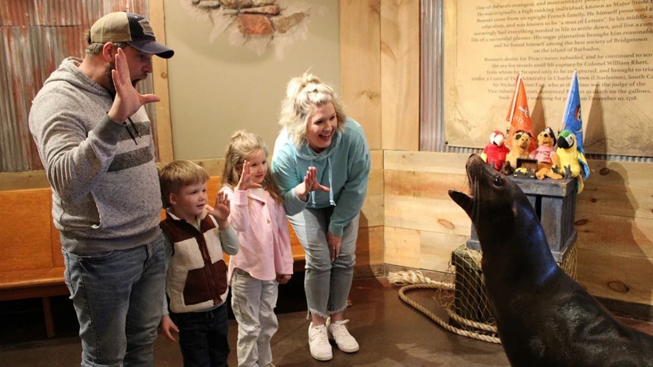 family interacting with sea lion
