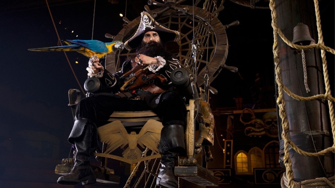 Captain Blackbeard with his bird