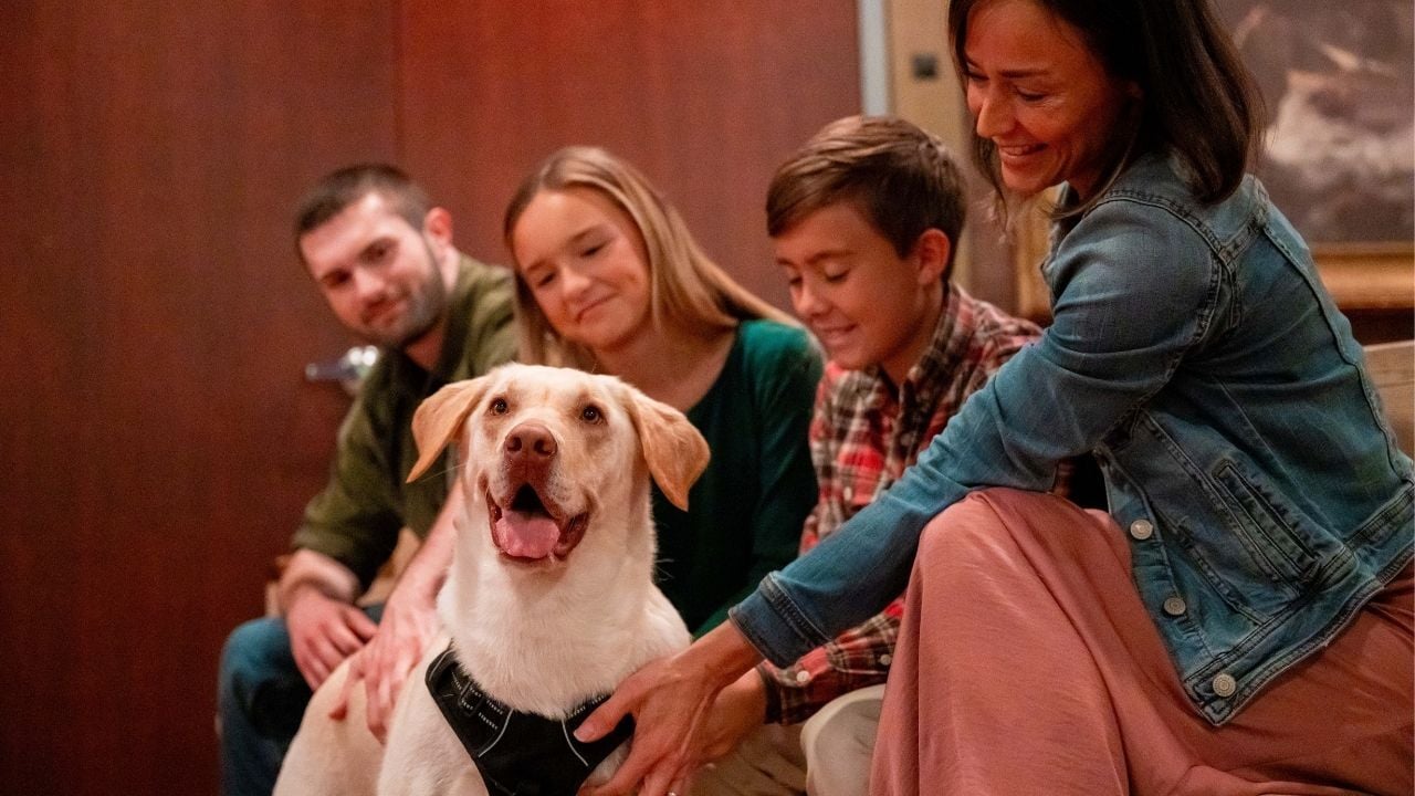 A dog in the animal encounter