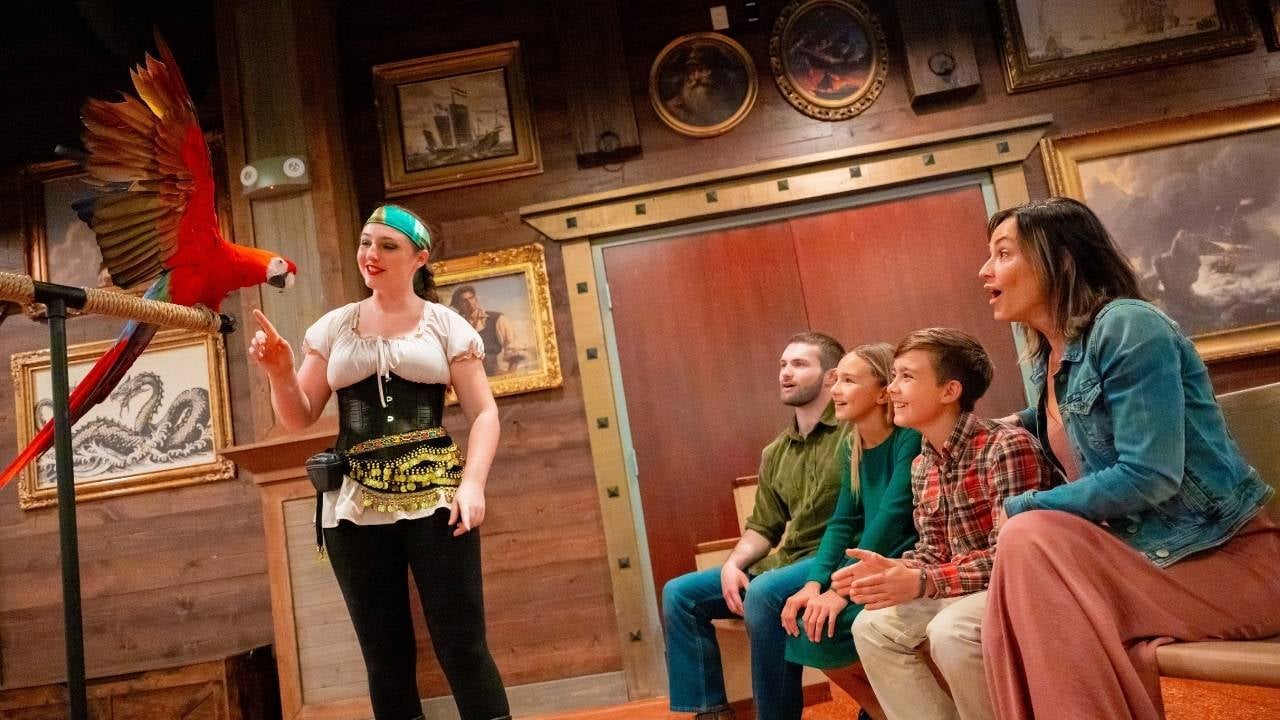 a parrot during the animal encounter