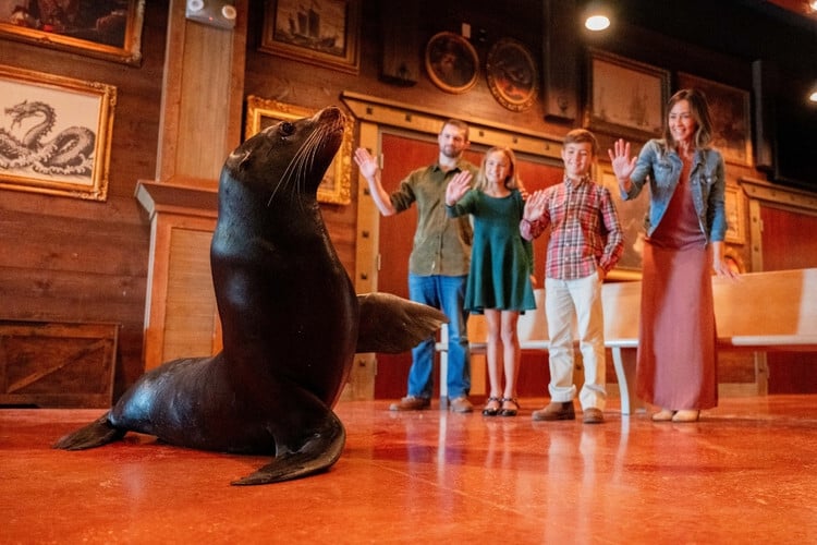 pv-animal-encounter-updated