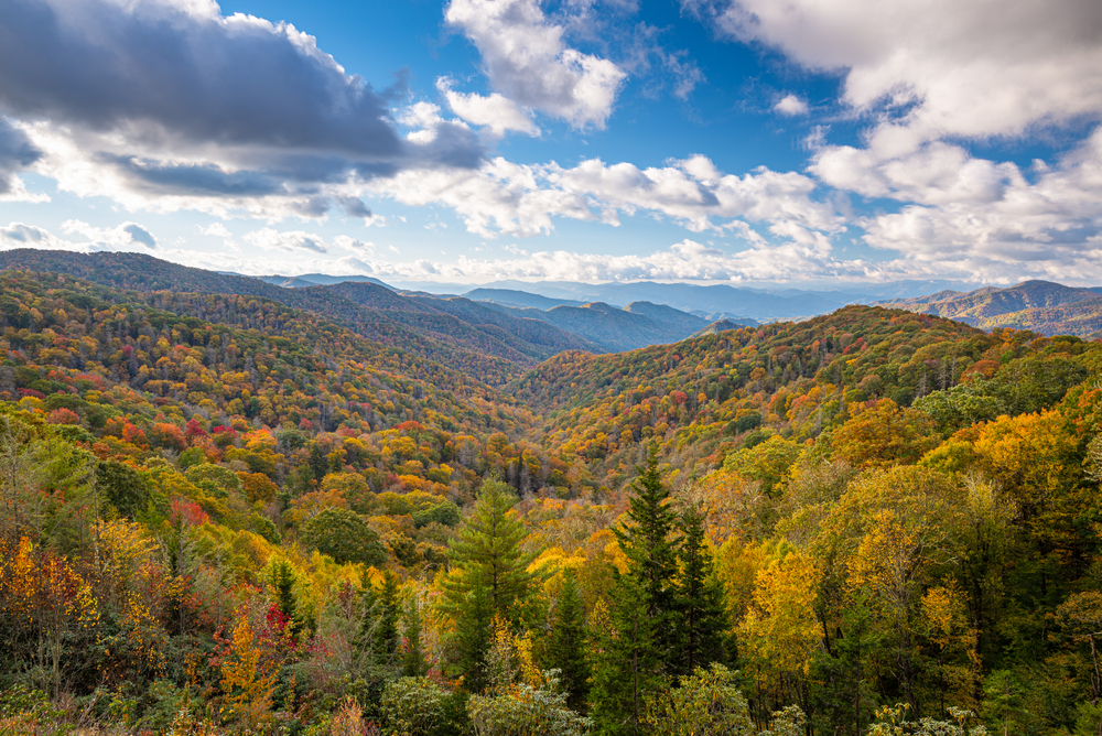 smoky mountains fall