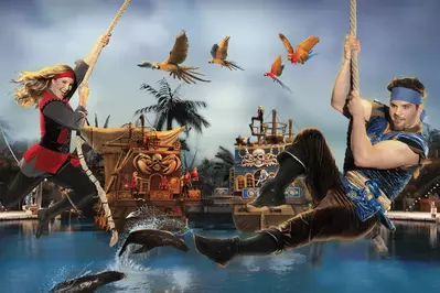 pirates swinging above lagoon