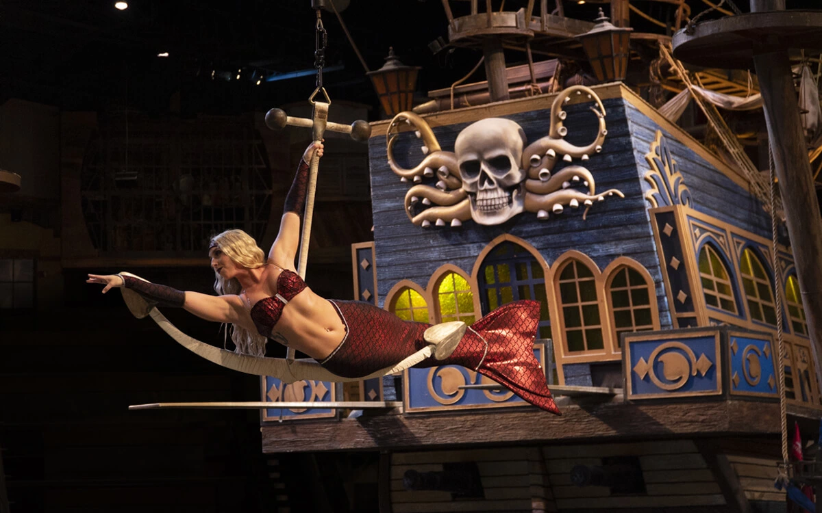 Show Information for Pirates Voyage Pigeon Forge, TN Dinner Show