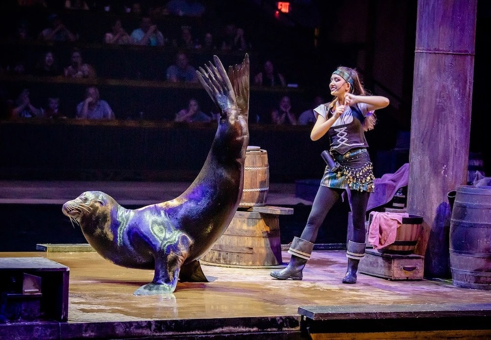 Salty the Sea Lion at Pirates Voyage