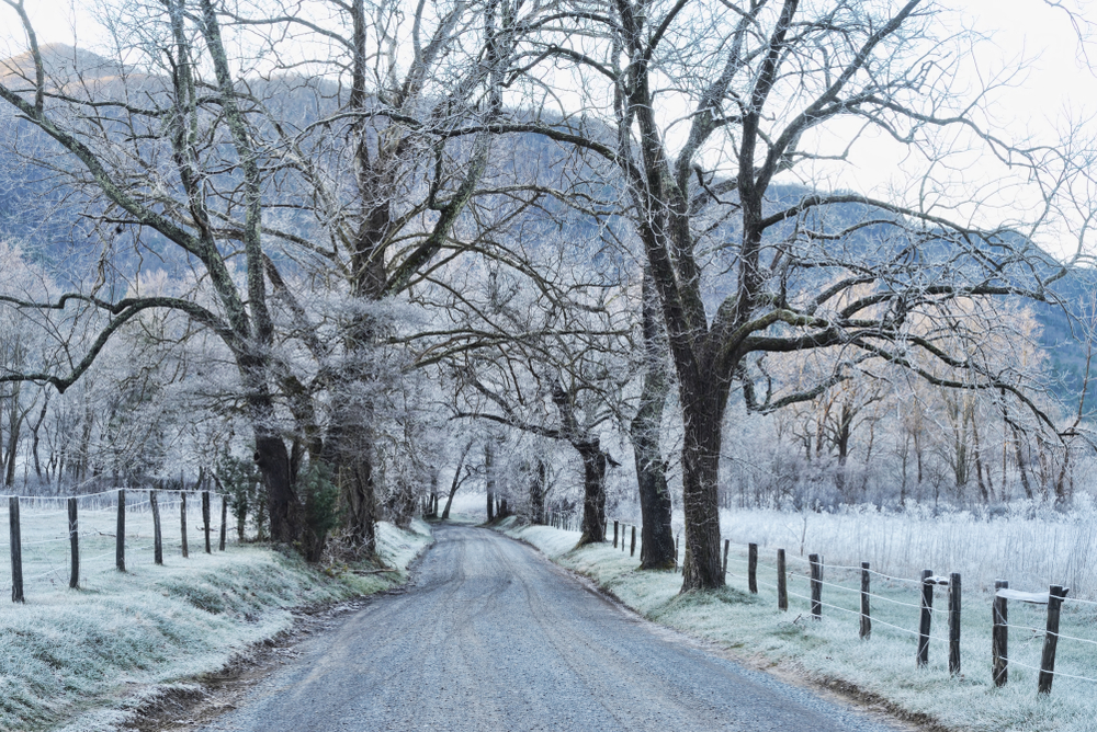 Cades Cove in the winter