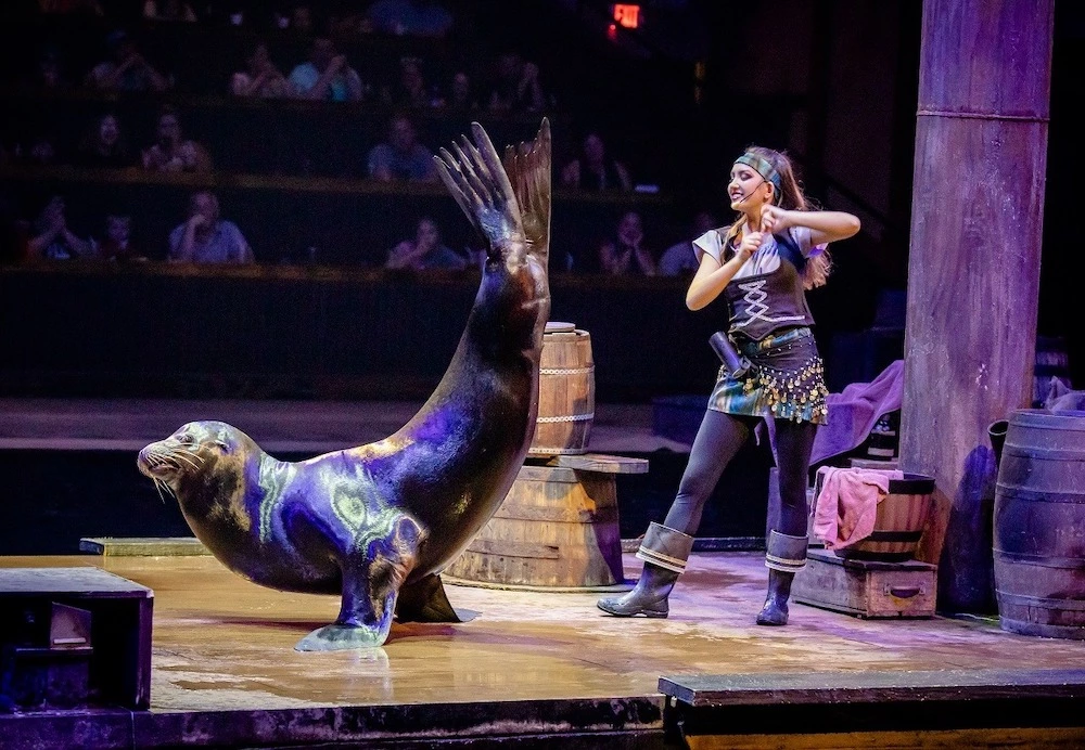 salty the sea lion at Pirates Voyage