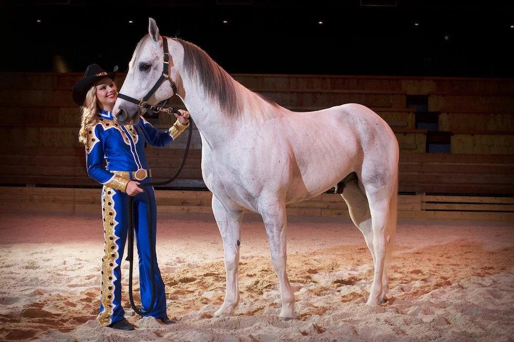 performer with horse at Dolly Parton's Stampede