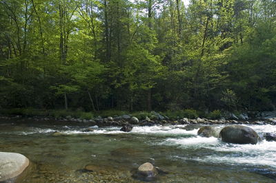 Little Pigeon River in Pigeon Forge