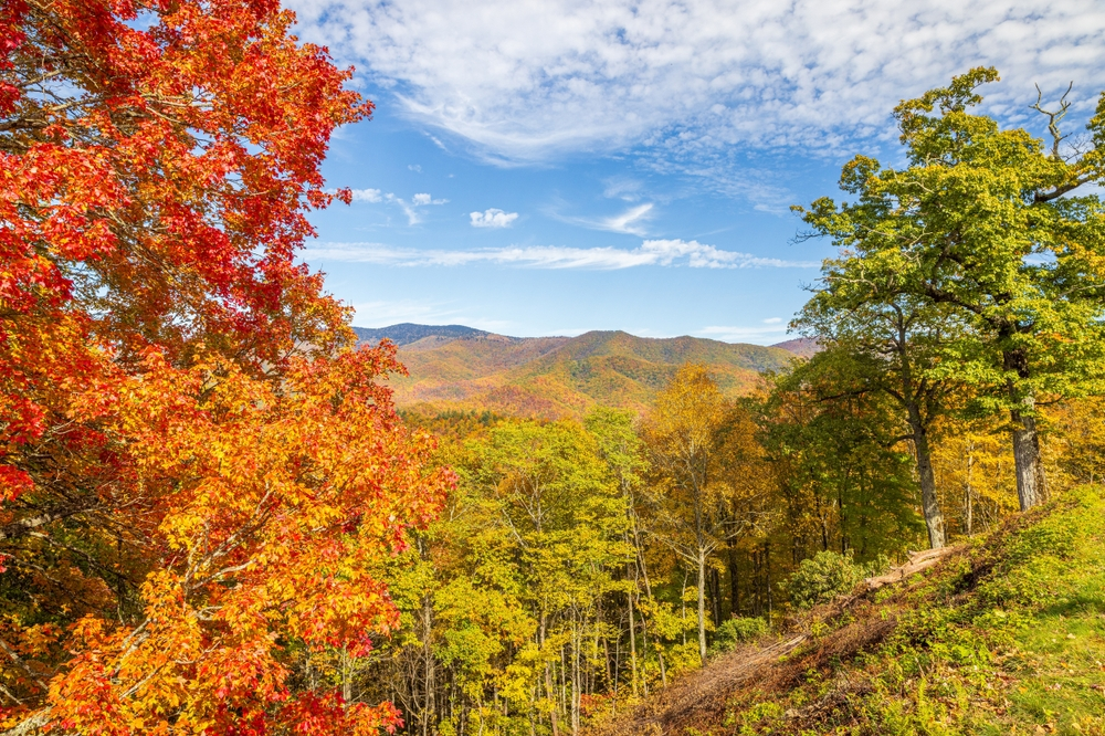 autumn colors in Pigeon Forge