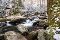 snowy river in the Smoky Mountains