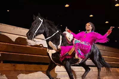 trick rider at the Stampede